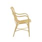 Townchair Cane Dining Chair
